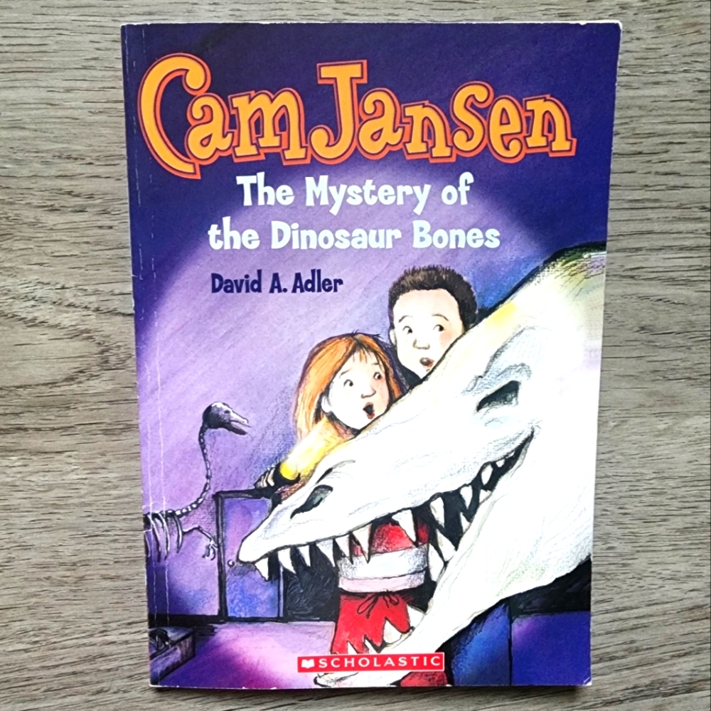 Cam Jansen The Mystery of the Dinosaur Bones Illustrated Chapter Book Series
